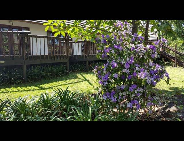 FARM FOR SALE IN NELSPRUIT RURAL
